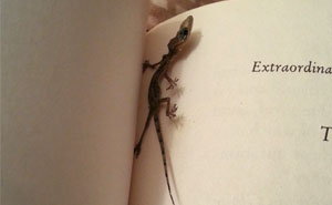 35 Sorpresas que la gente encontró en libros de 2ª mano y tuvieron que compartir