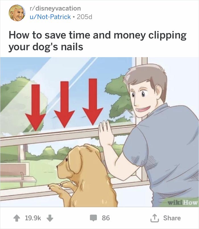 Wikihow Funny Memes