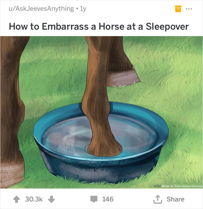 How To Embarrass A Horse