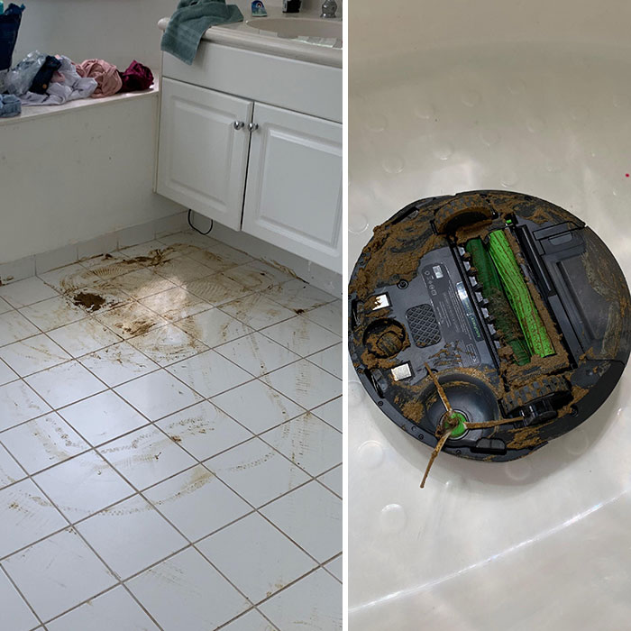 My Brand New Roomba Ran Over My Puppy’s Shit And Proceeded To “Clean” The Rest Of My Home