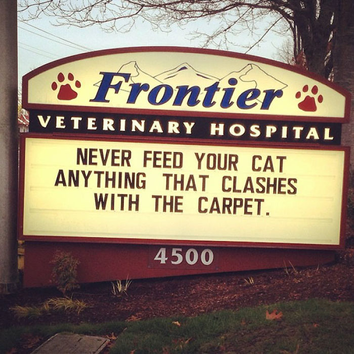 Funny Vet Clinics Signs About Cats Funny-Cat-Veterinary-Clinic-Signs