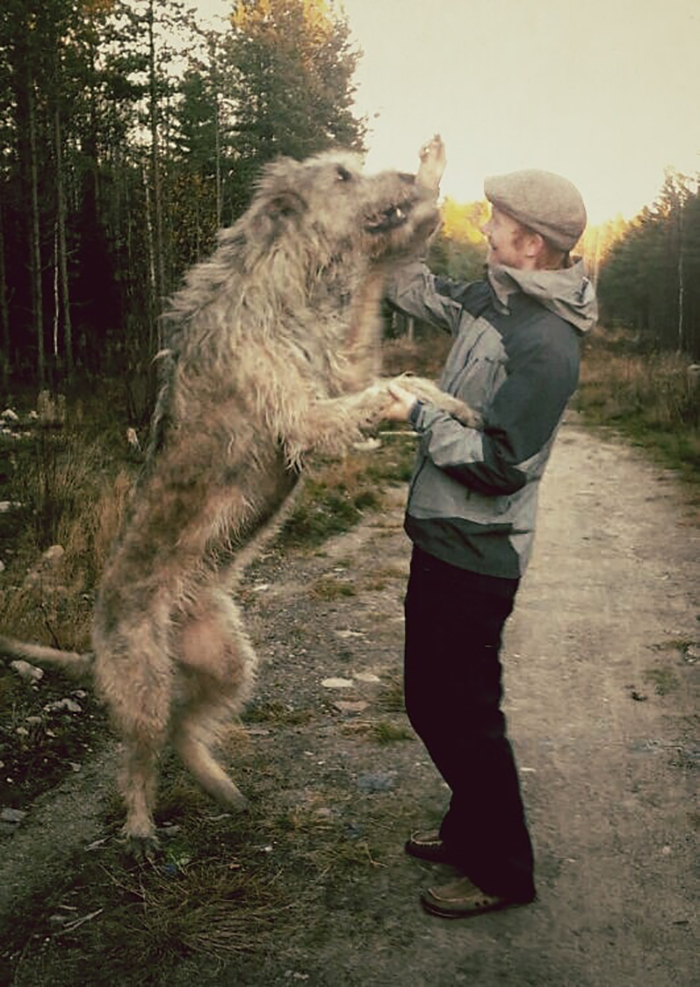 Me With My Late Irish Wolfhound Faust. I'm 184cm