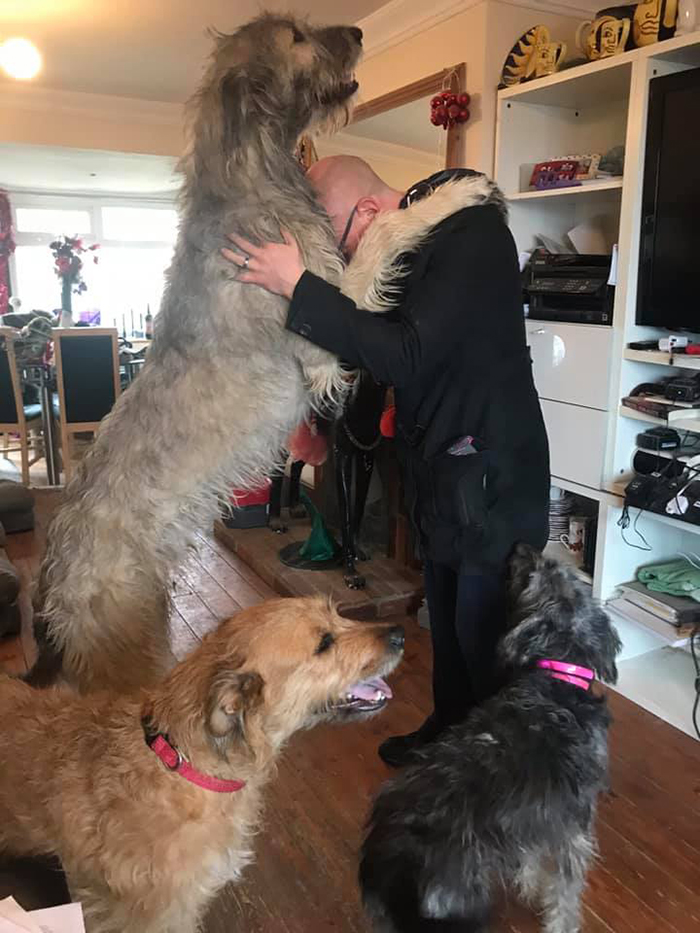 My Irish Wolfhound With My Dog Walker