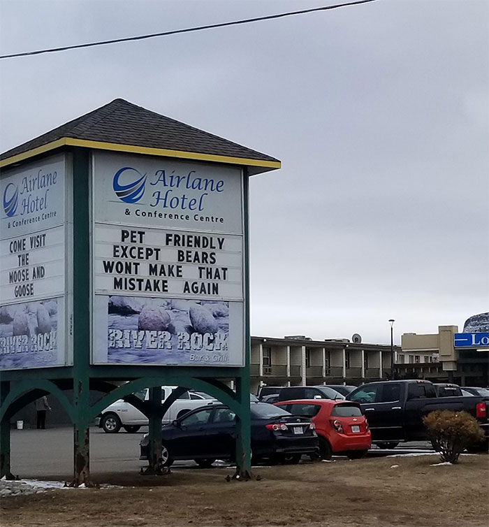 The Things You See In A Northern Canadian Town