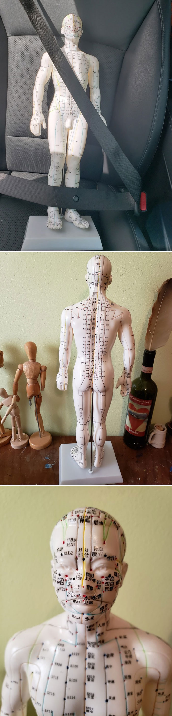 My Husband "Quit Buying Crap You Dont Need!" Excuse Me But I Think A 1.5ft Acupuncture Model With Chinese Lettering Is Definitely, A Need