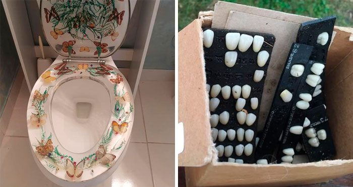 30 Times People Shared Their Weirdest Secondhand Finds
