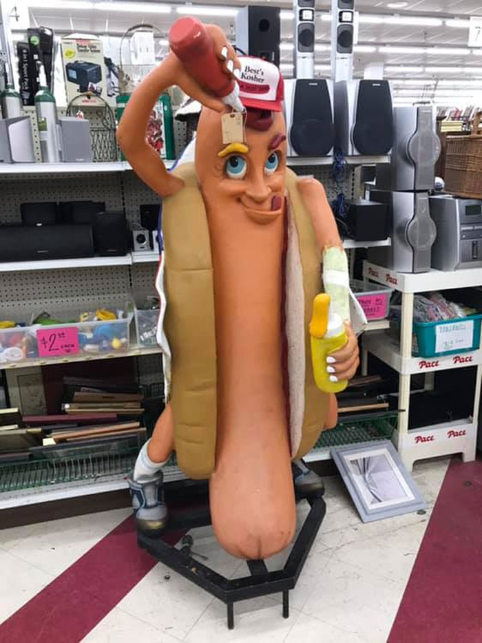 No Self-Respecting Hot Dog Would Put Ketchup On Himself. Found In An Illinois Thrift Store