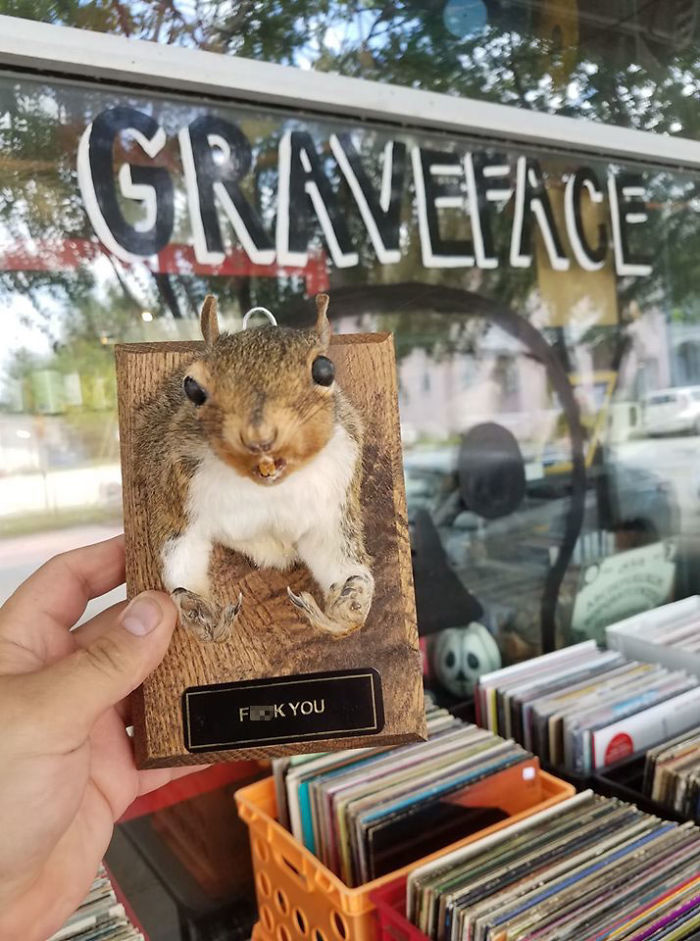 Visiting Savannah, Georgia...found This Little Rude Guy. Hes Coming Home With Me!