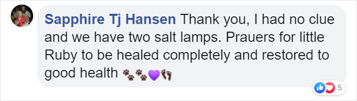 Owner Of Cat That Nearly Died Explains Why It's Terribly Dangerous To Own A Salt Lamp If You Have Pets 