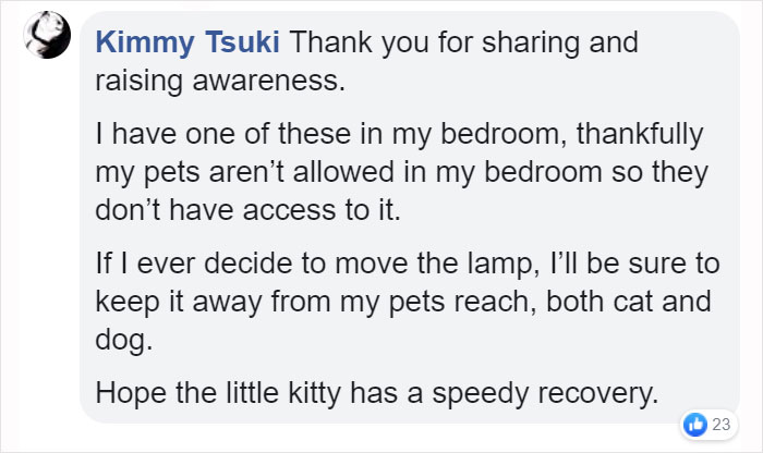 Owner Of Cat That Nearly Died Explains Why It's Terribly Dangerous To Own A Salt Lamp If You Have Pets 