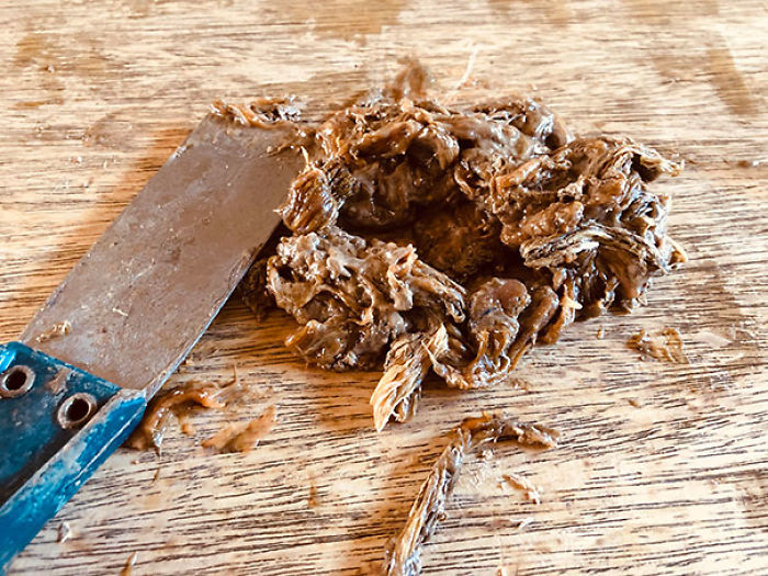 I Was Stripping The Varnish Off Of An Old Dresser, And Came Across Some Forbidden Pulled Pork