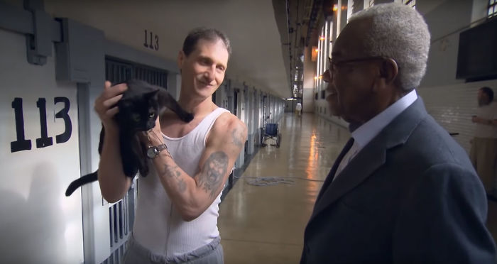 Prison In Indiana Accepts Shelter Cats And They Change Prisoners