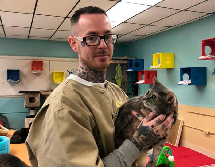 Prison In Indiana Accepts Shelter Cats And They Change Prisoners