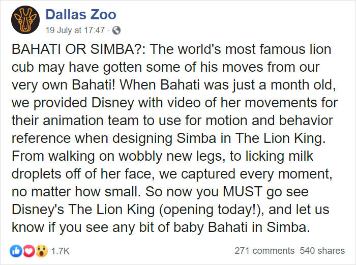 Meet Bahati The Cub, The Adorable Model For Simba In The Lion King Remake