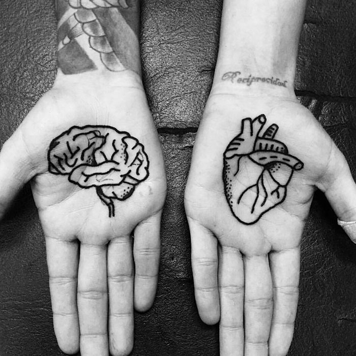 Brain And Heart
