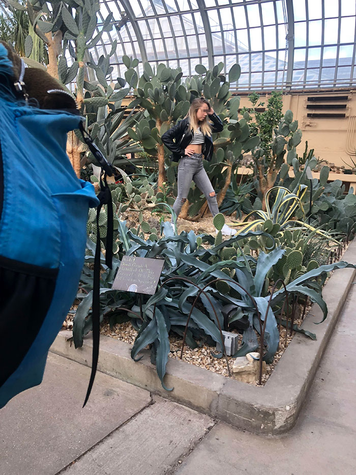 Was Told To Post This Here. Woman Stomped All Over The Plants In This Conservatory For Instagram Shots Despite Staff Repeatedly Asking Her To Stop