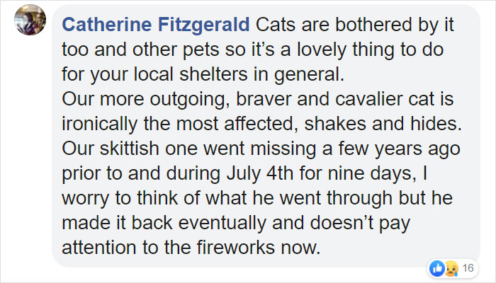 People Are Skipping 4th Of July Fireworks To Comfort Scared Shelter Dogs