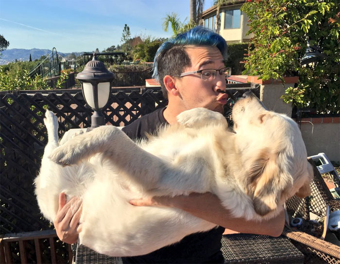 Survey Finds Humans Kiss Their Dogs More Than Their Partners