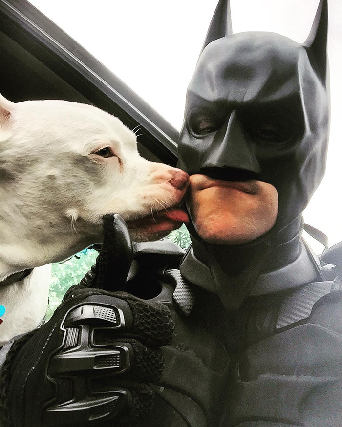 This Guy Dresses Up As Batman To Save Shelter Animals From Euthanasia And Find Them Loving Families
