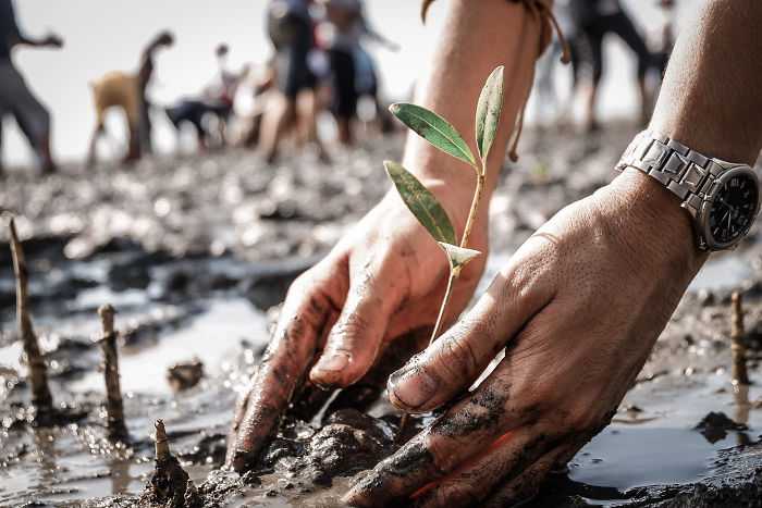 Despite The Alarming Climate Change, There Is Still Hope. All We Have To Do Is Act