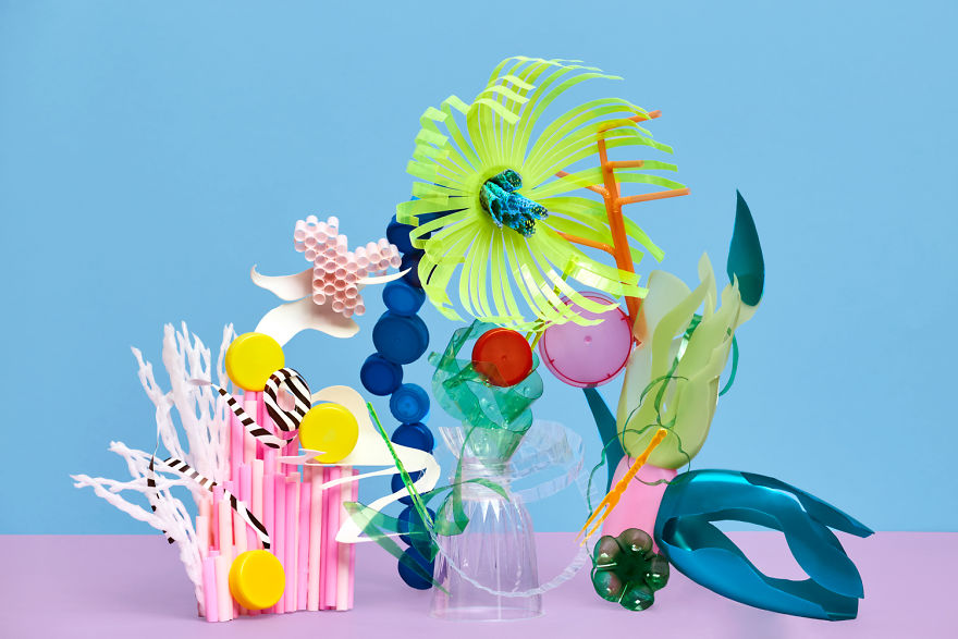 Coral Reef Of The Future Coral Reef Of The Future