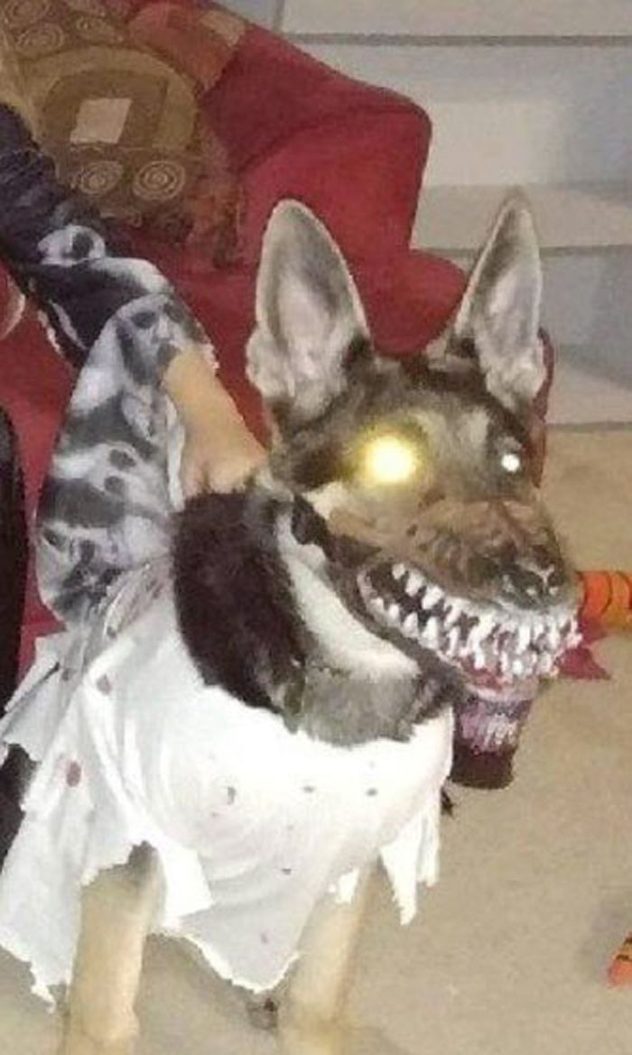Scary-Dog-Muzzle-Werewolf