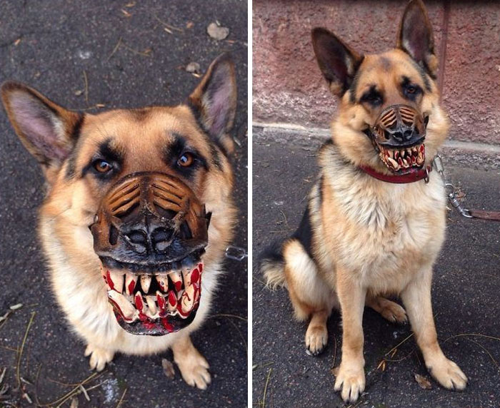 Scary-Dog-Muzzle-Werewolf