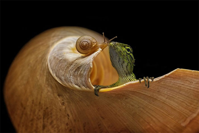 Here Are 50 Of The Best Entries From The #Small2019 Photography Contest