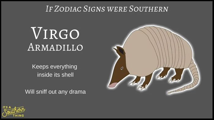 There's A Southern Version Of Zodiac Signs And The Descriptions Are Hilariously Accurate