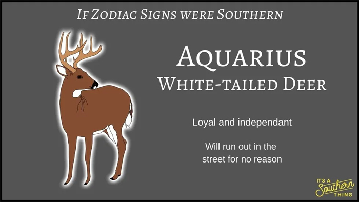 There's A Southern Version Of Zodiac Signs And The Descriptions Are Hilariously Accurate