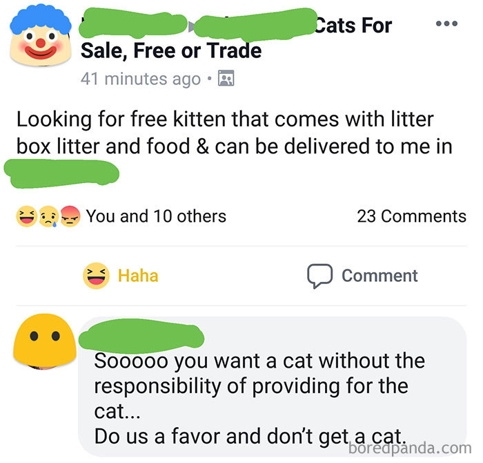 He Is Always Asking For People To Help Pay For Rent And Bills. He Complains About Not Being Able To Afford Food... But He Thinks He Can Care For A Kitten...