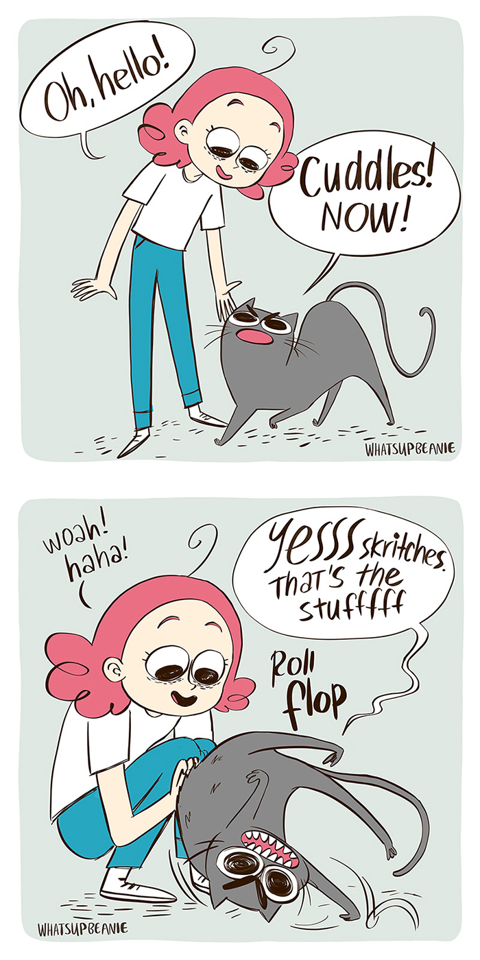 My 13 Wholesome Comics About Cats And Dogs