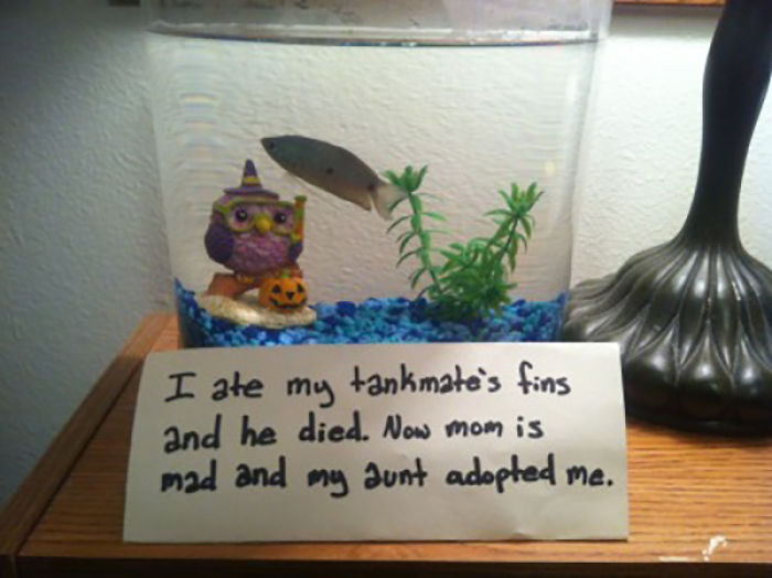 Funny-Fish-Shaming