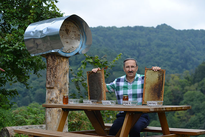 After Bears Kept Coming To This Man's Bee Farm To Steal Honey, He Decided To Turn Them Into Honey Tasters