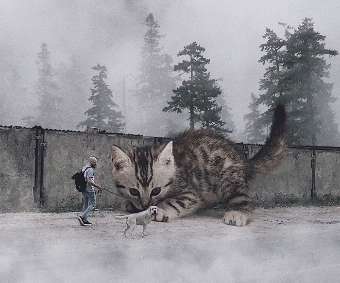 Guy Creates Images That Show How Earth Would Look If Cats Were A Lot Bigger (30 Pics)