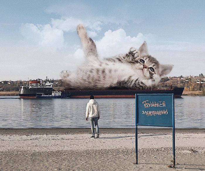 Russian-Artist-Photoshops-Giant-Cats-Odnoboko