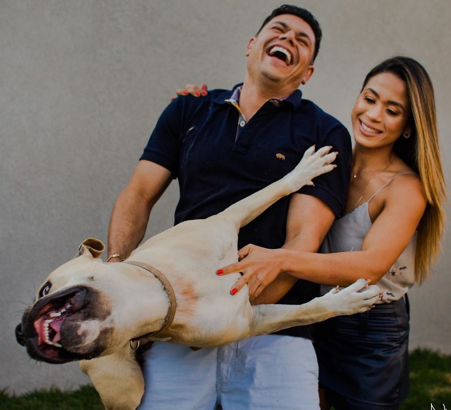 Couple Brings Their Dog To Their Pre-Wedding Photoshoot, And The Result Is Hilarious (10 Pics)