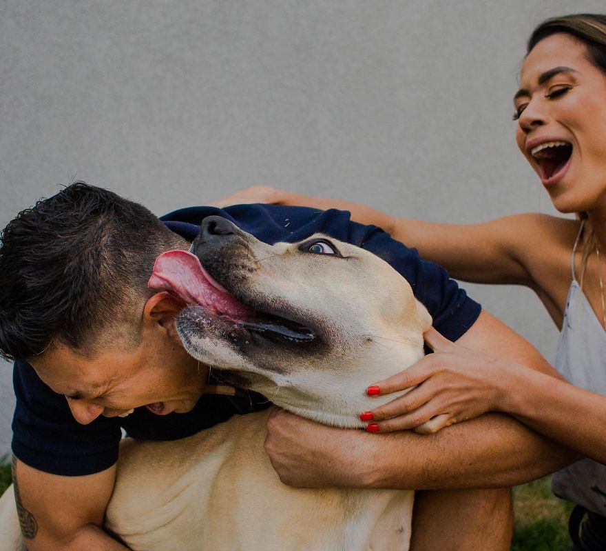 Couple Brings Their Dog To Their Pre-Wedding Photoshoot, And The Result Is Hilarious (10 Pics)