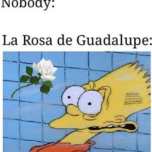 angelicaarreolarico avatar