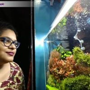 joy_naughtyme avatar