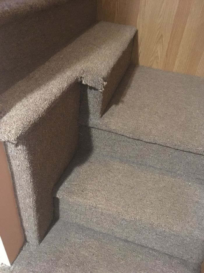 This Set Of Stairs At My Relative’s House. (I Almost Fell)