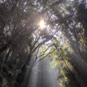 gargijain_k_runiwal avatar