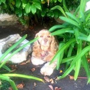 maggie_kelley avatar