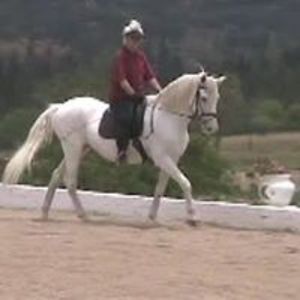 thelma_wright avatar