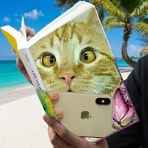 fridaaparicio_fernandez avatar