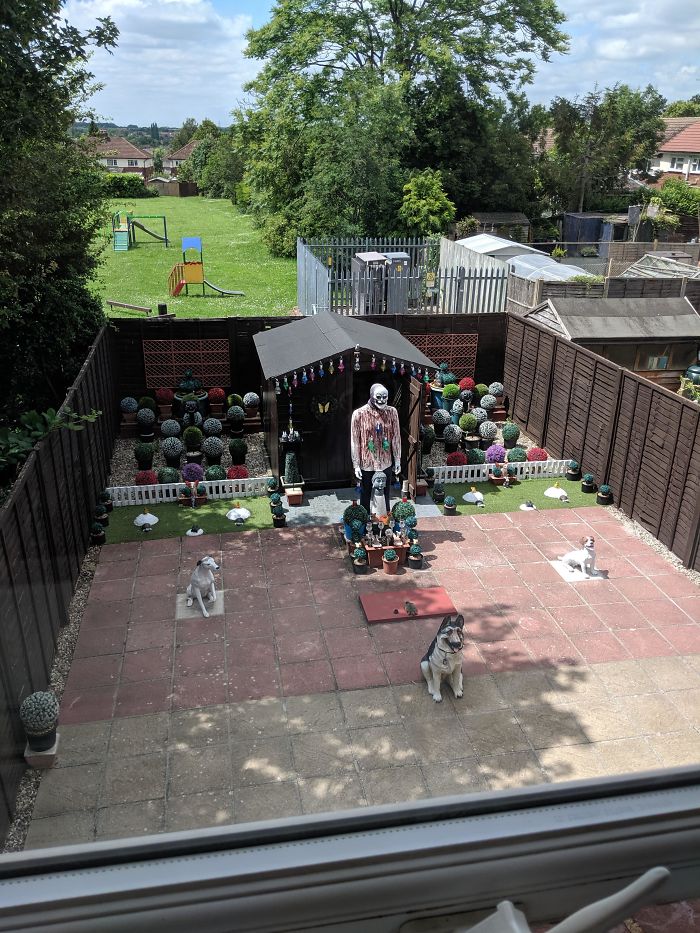 My Friend Just Moved In To A New Flat And This Is Her Neighbours Garden. What Is This Thing?