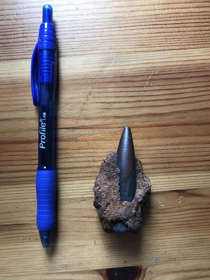 Mom Found This Bullet On The Beach About A Year Ago, How Old Is It And From What Type Of Gun?