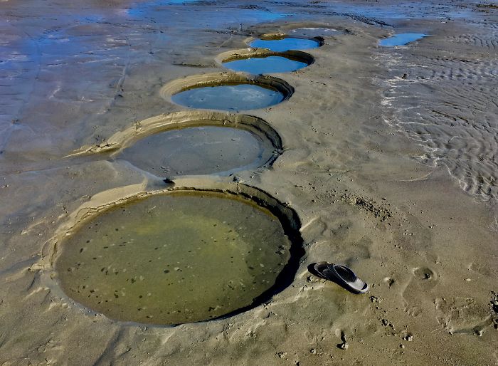 What Are These Perfect Sets Of Beach Holes? Flip Flop For Scale