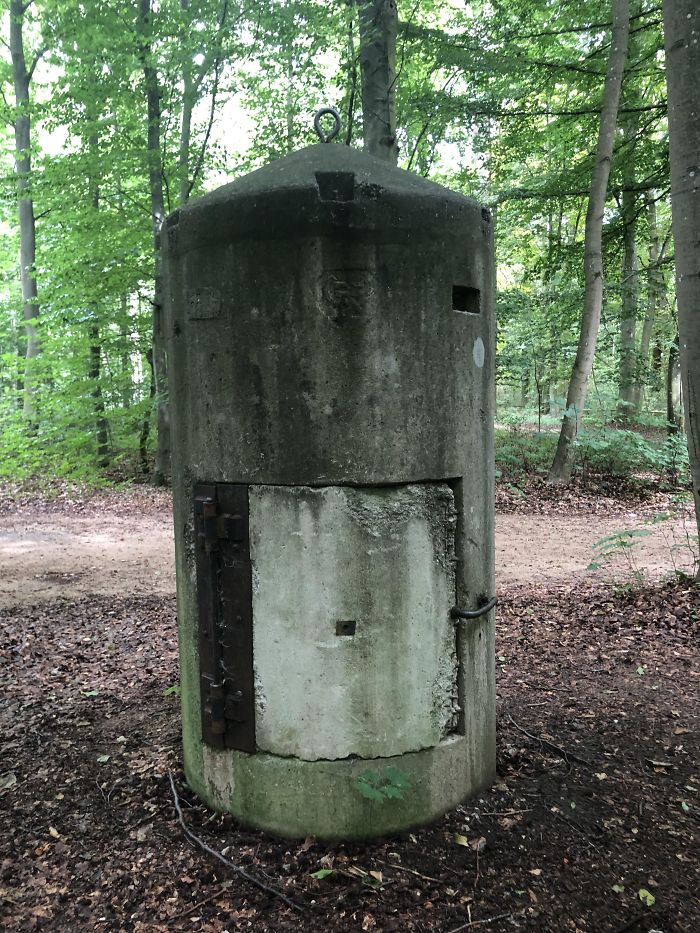 What Is This Random Structure I Found In The Middle Of The Forest?