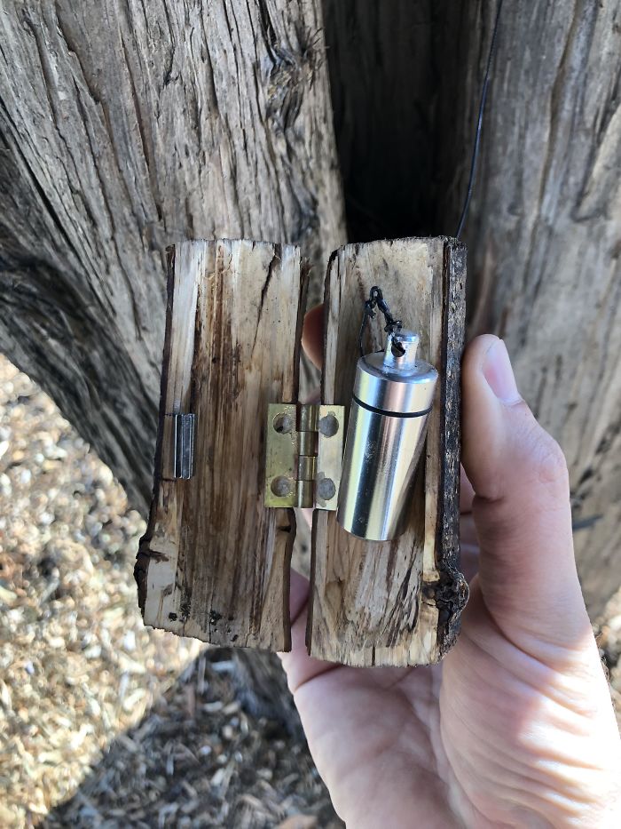 Silver Capsule Camouflaged Inside A Wooden Container Hanging In A Tree In A Public Park. What Is This Thing?